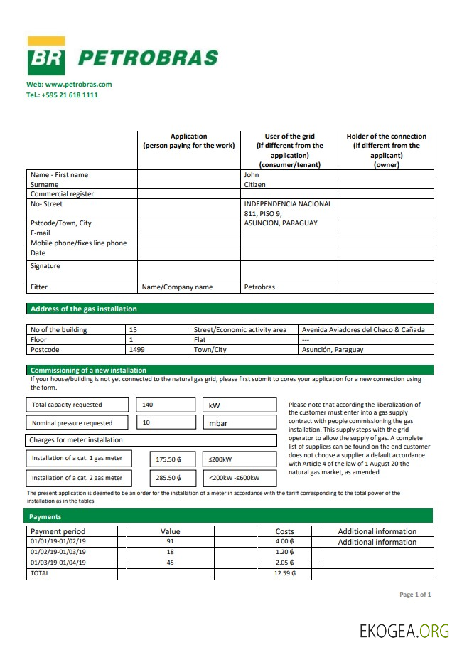 Paraguay Petrobras Paraguay Operations and Logistics gas company utility bill template in Word and PDF format